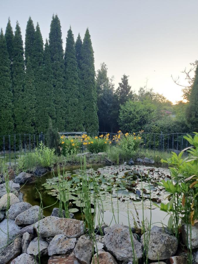 Bed & Breakfast Kulacs Csarda Panzio